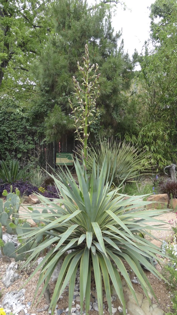 flower_spike